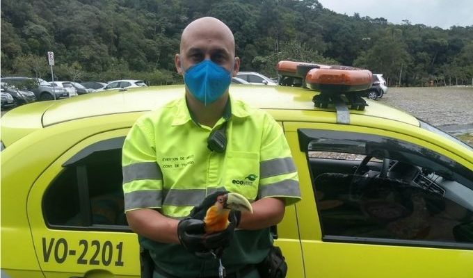 | Jornal Acontece