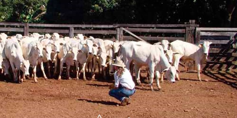  | Jornal Acontece