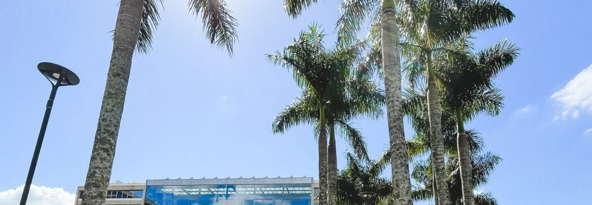  | Jornal Acontece