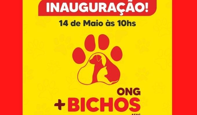  | Jornal Acontece