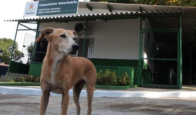  | Jornal Acontece