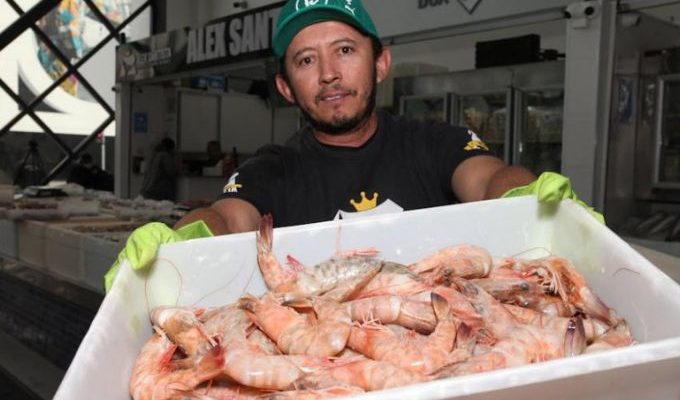 | Jornal Acontece