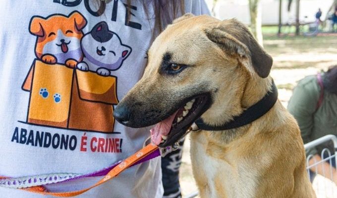  | Jornal Acontece