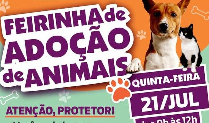  | Jornal Acontece