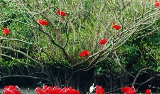  | Jornal Acontece