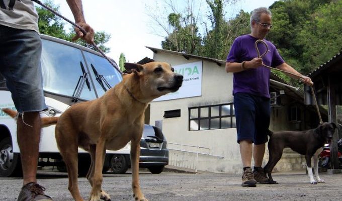  | Jornal Acontece