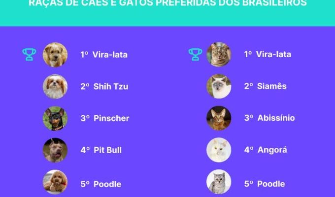  | Jornal Acontece