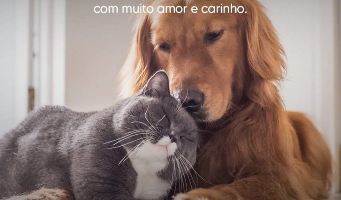 | Jornal Acontece