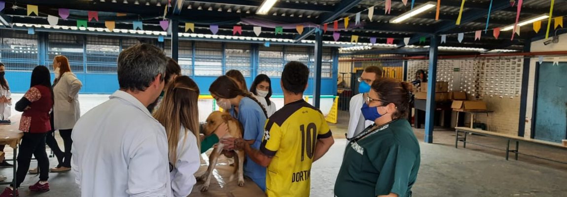 | Jornal Acontece