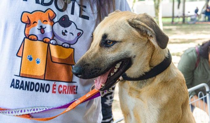  | Jornal Acontece