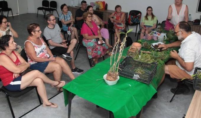  | Jornal Acontece
