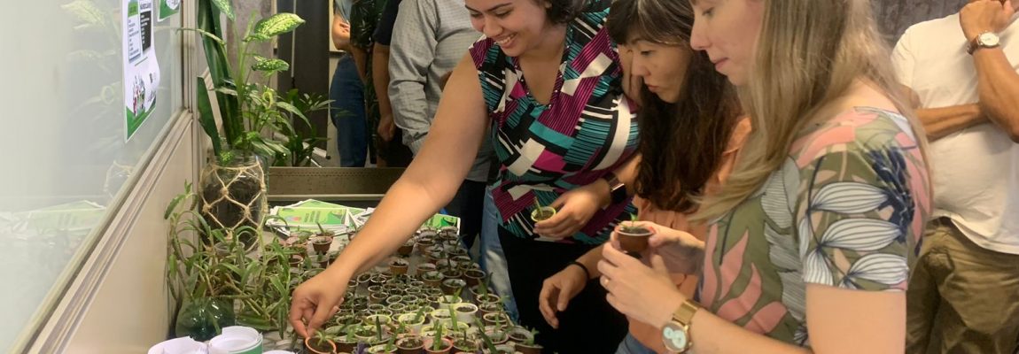  | Jornal Acontece