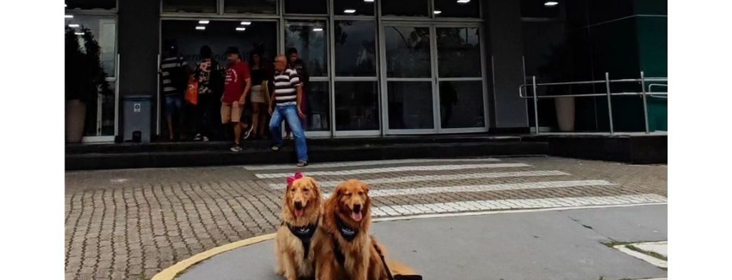  | Jornal Acontece