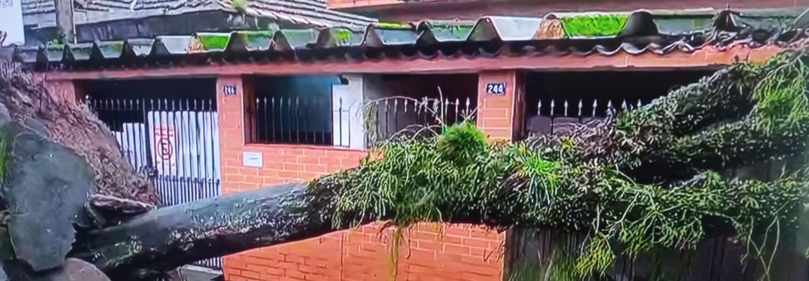  | Jornal Acontece