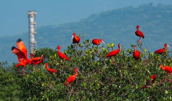 | Jornal Acontece